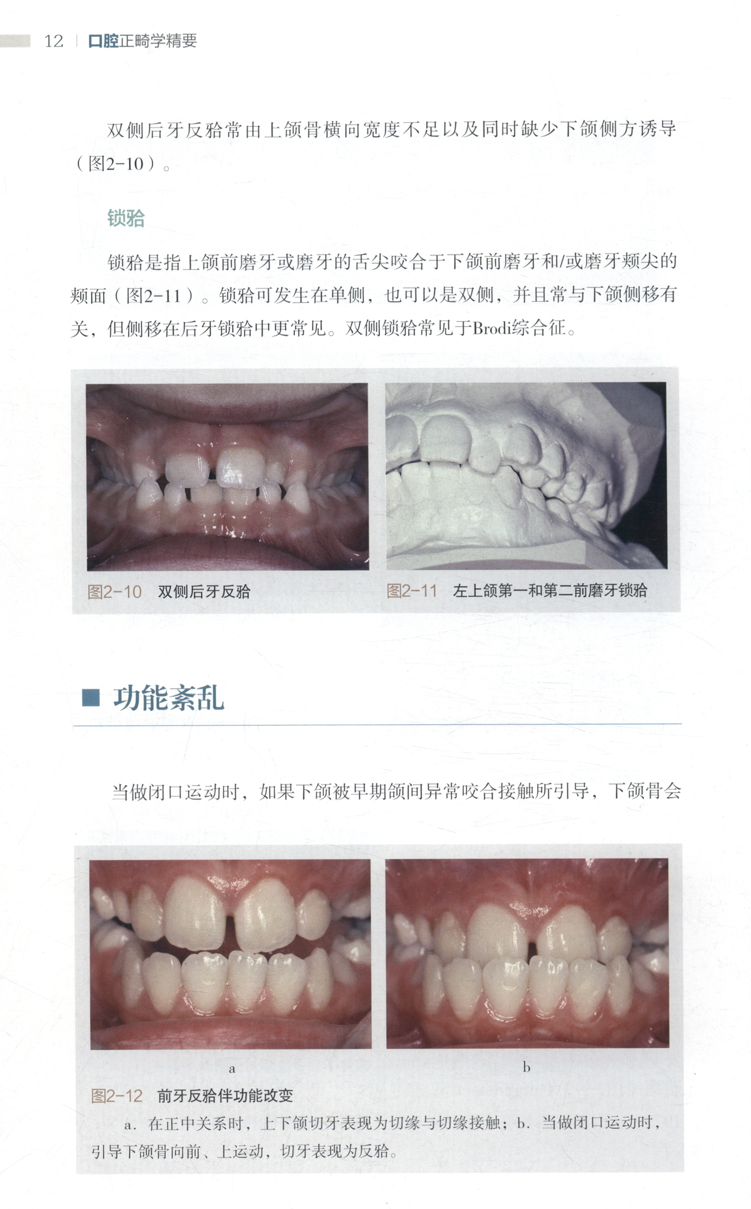 1653317228580831.jpg 详情-05.jpg