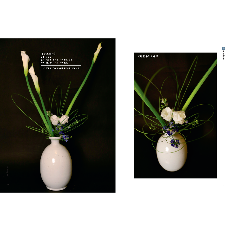 盛世華章：中國插花藝術展作品集+中國花室（全兩冊）