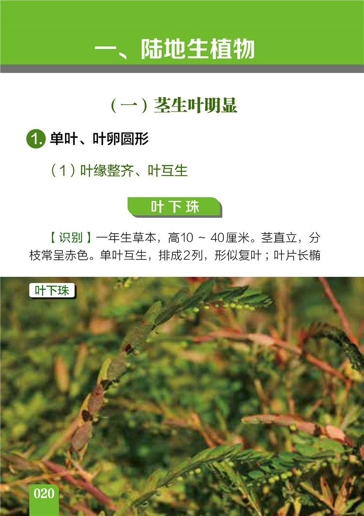 1654692010473510.jpg 书摘1.jpg