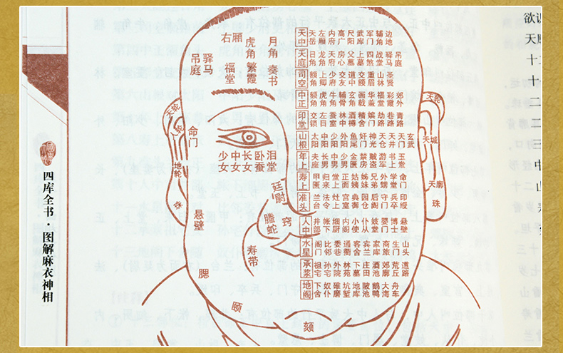 1654952649737493.jpg 详情-08.jpg