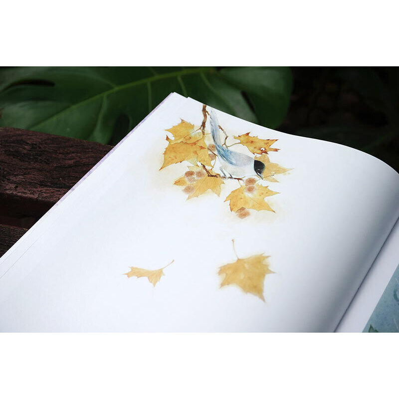 人間一隅-桃年個人畫集(贈送畫冊) 人間一隅-桃年個人畫集(贈送畫冊)