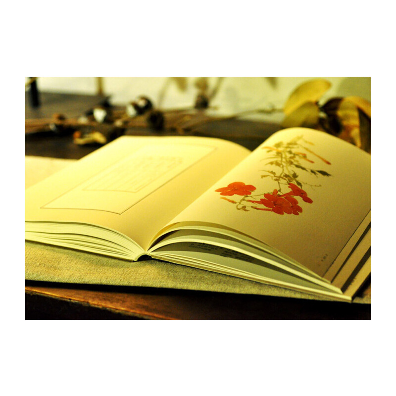 詩經草木繪+楚辭飛鳥繪(全兩冊) 詩經草木繪+楚辭飛鳥繪(全兩冊)