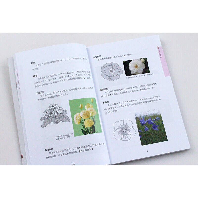 花與花語+花藝知識手冊（全兩冊）