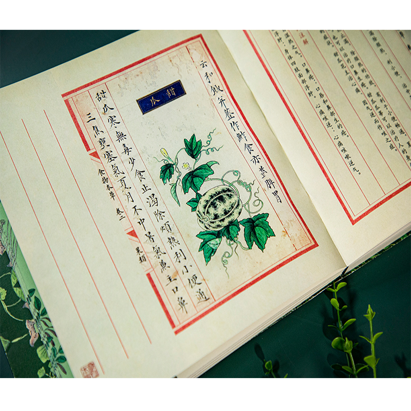 食物本草圖譜（禮盒裝）