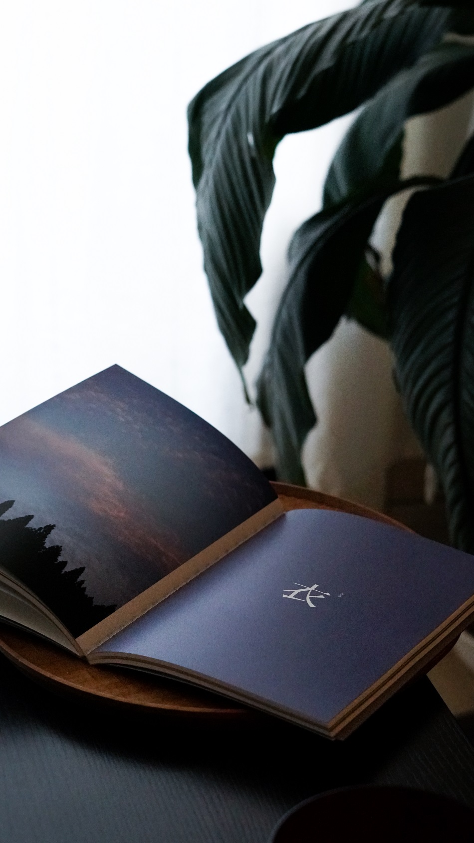 1656852675324616.jpg 详情3.jpg