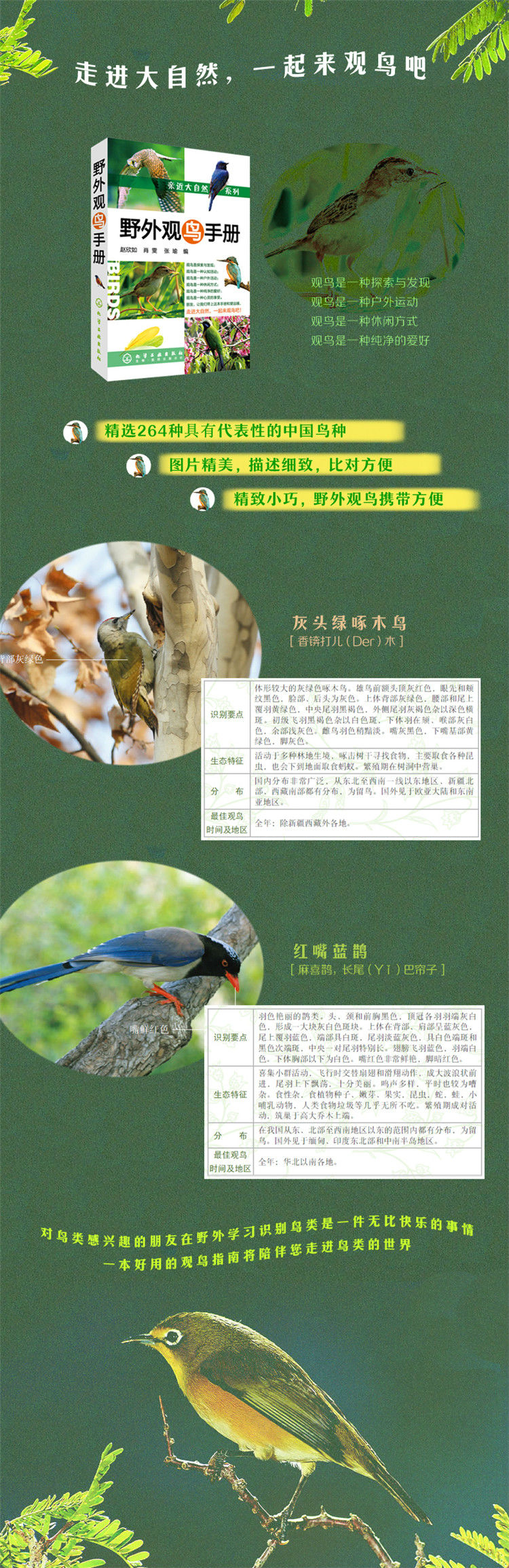 1657766387440892.jpg 详情-01.jpg