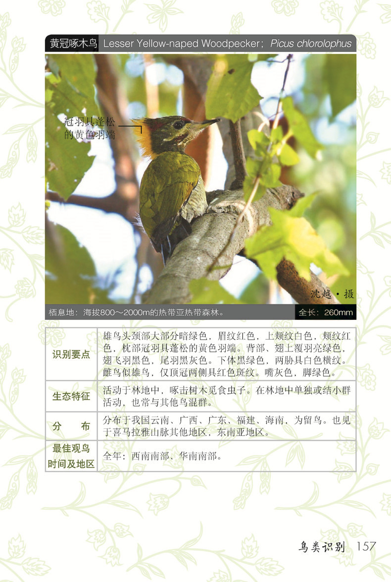 1657766397616531.jpg 详情-02.jpg