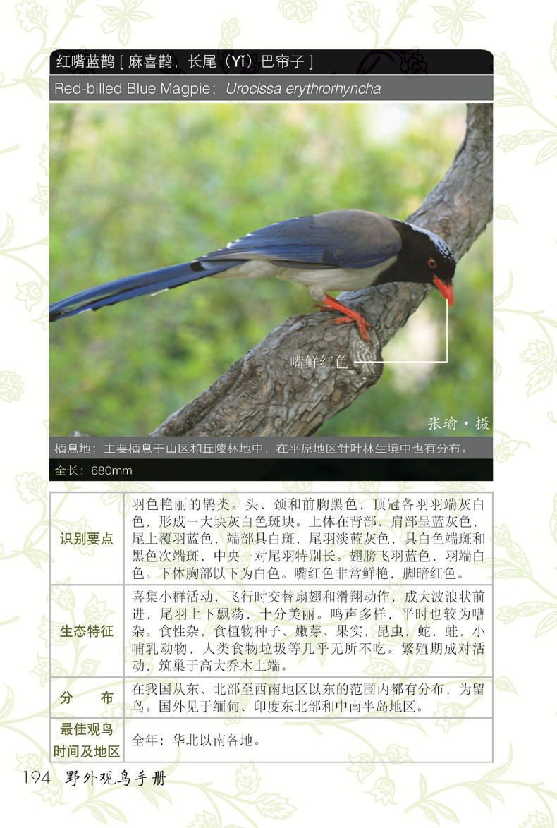 1657766406699803.jpg 详情-04.jpg