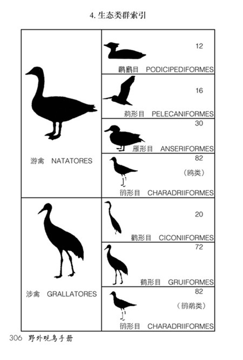 1657766417782528.jpg 详情-06.jpg