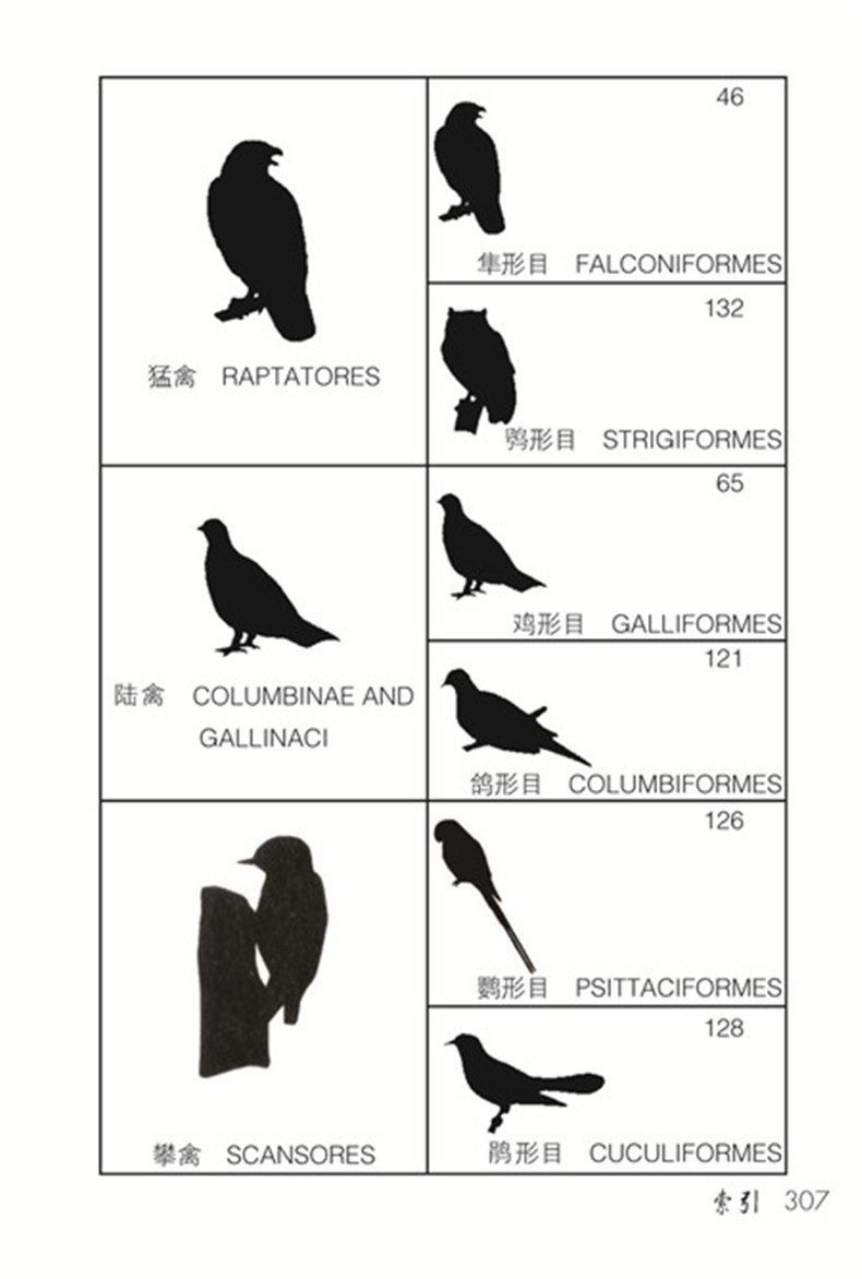 1657766428631265.jpg 详情-08.jpg