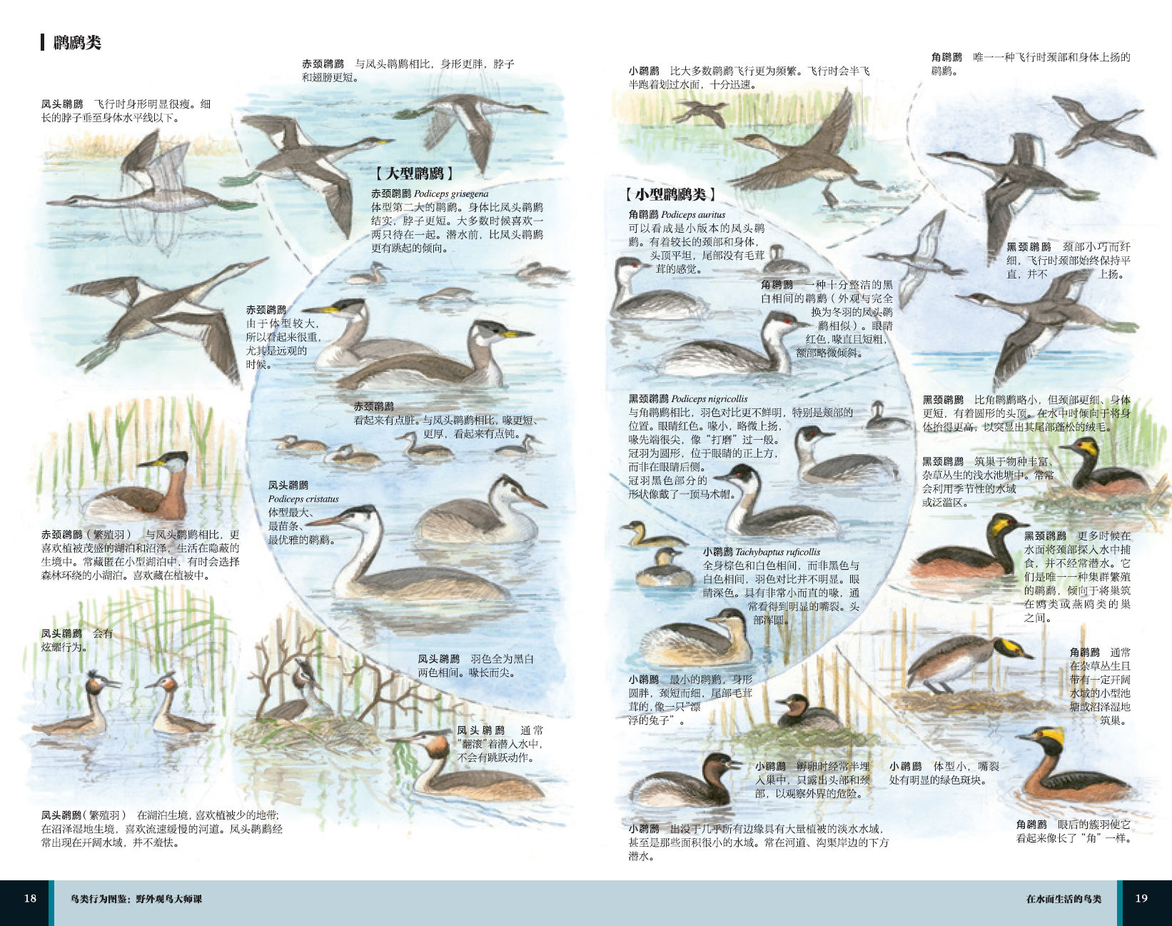 1657766564758429.jpg 详情-02.jpg