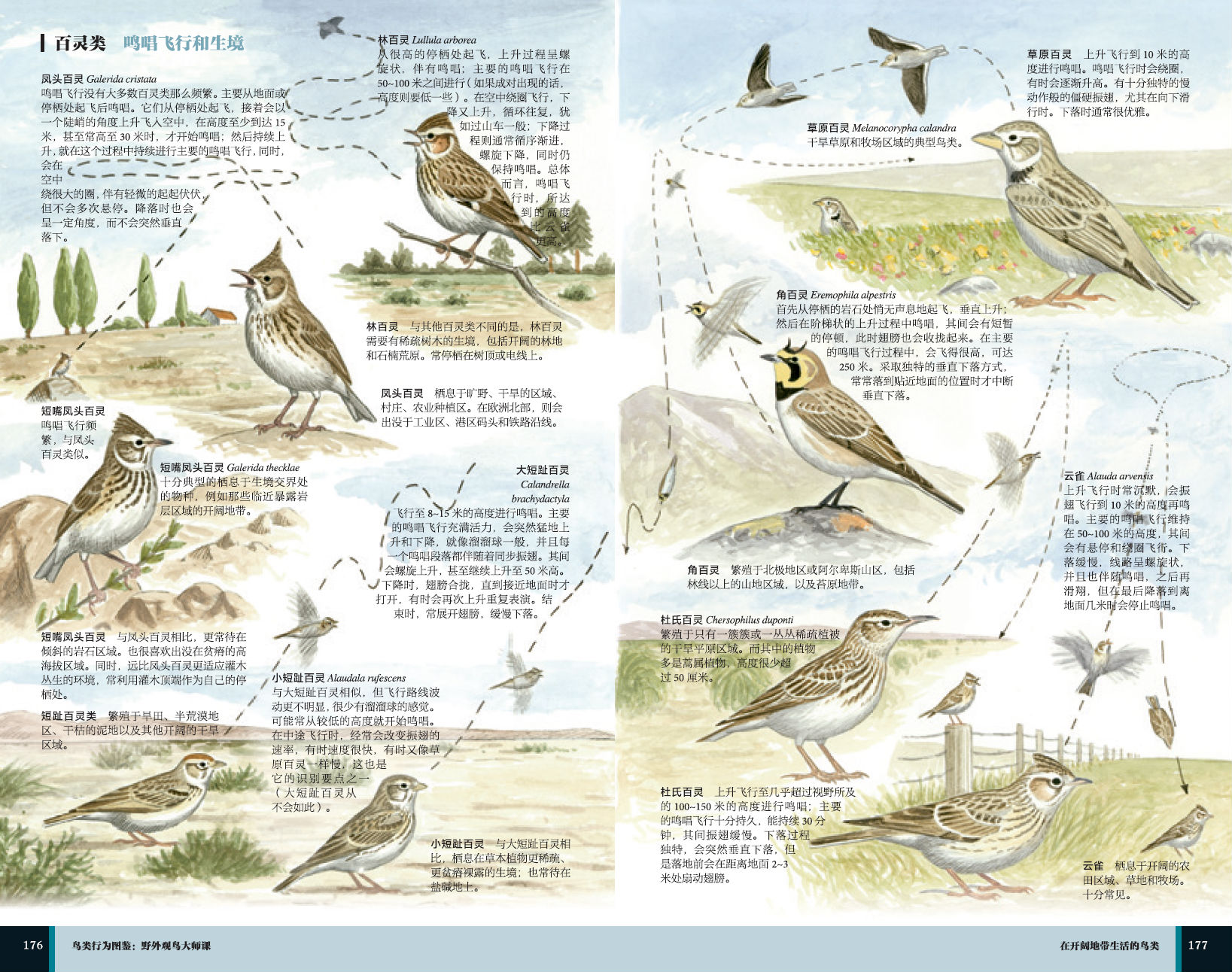 1657766570183212.jpg 详情-04.jpg