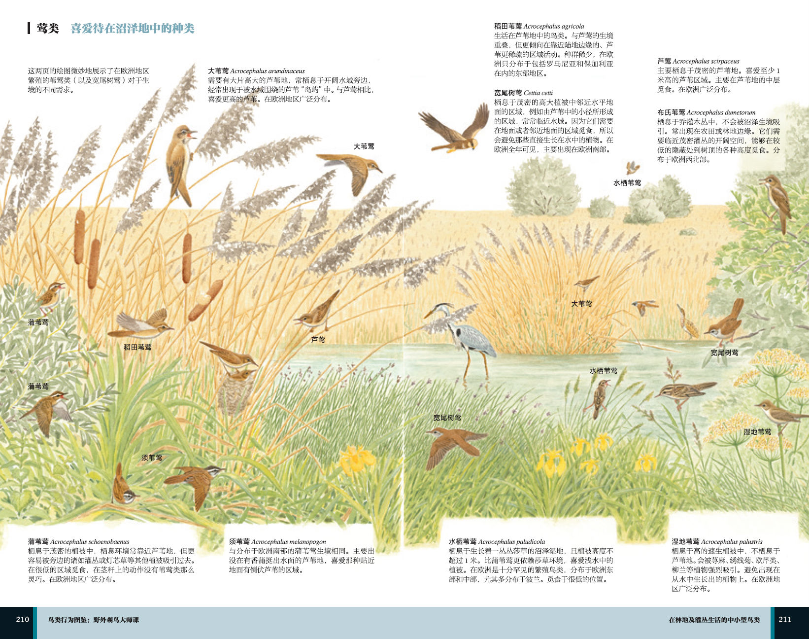 1657766579567284.jpg 详情-07.jpg