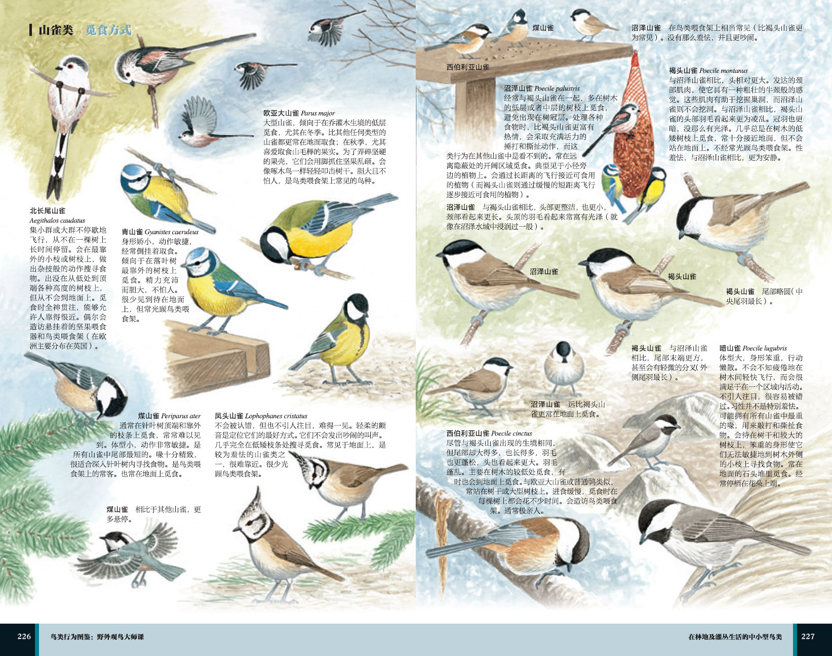 1657766585574780.jpg 详情-09.jpg