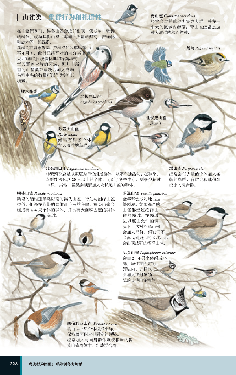 1657766591271873.png 详情-10.png