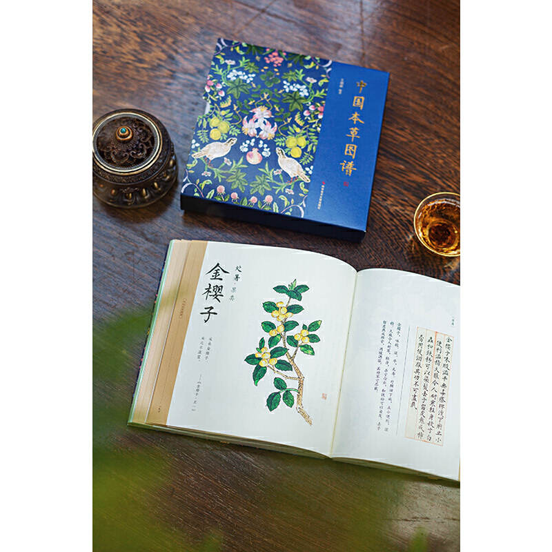 紫圖《中國本草圖譜》