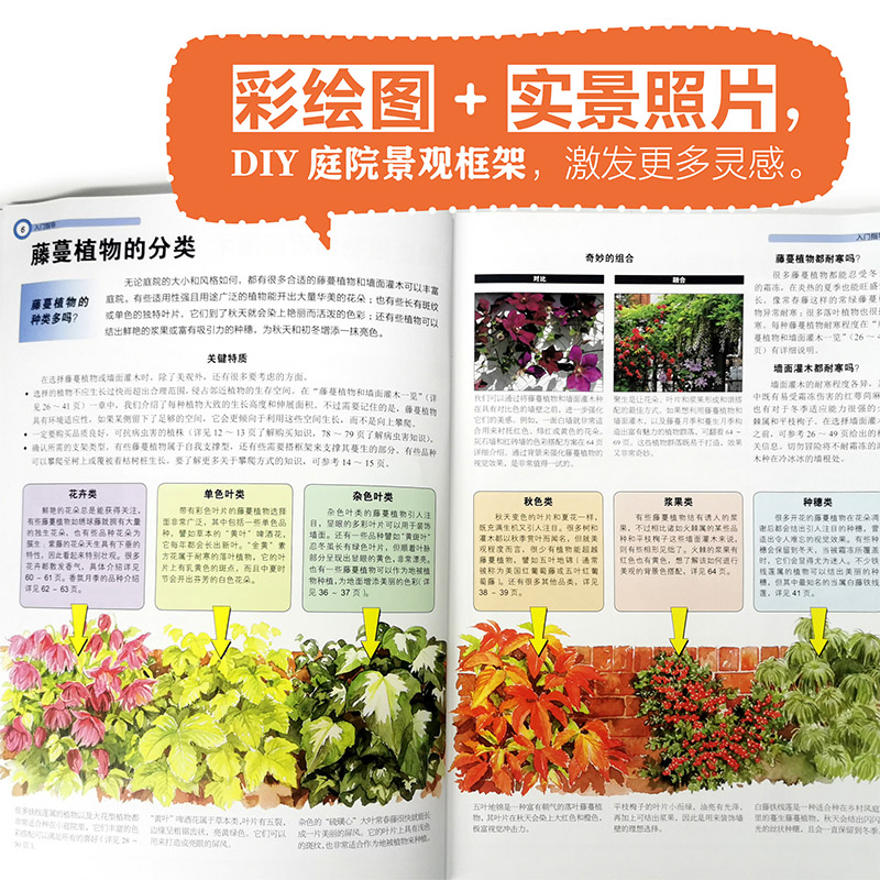 全球庭院:空間設計鑑賞+垂直花園:庭院藤蔓植物選擇與造景(全兩冊) 全球庭院:空間設計鑑賞+垂直花園:庭院藤蔓植物選擇與造景(全兩冊)