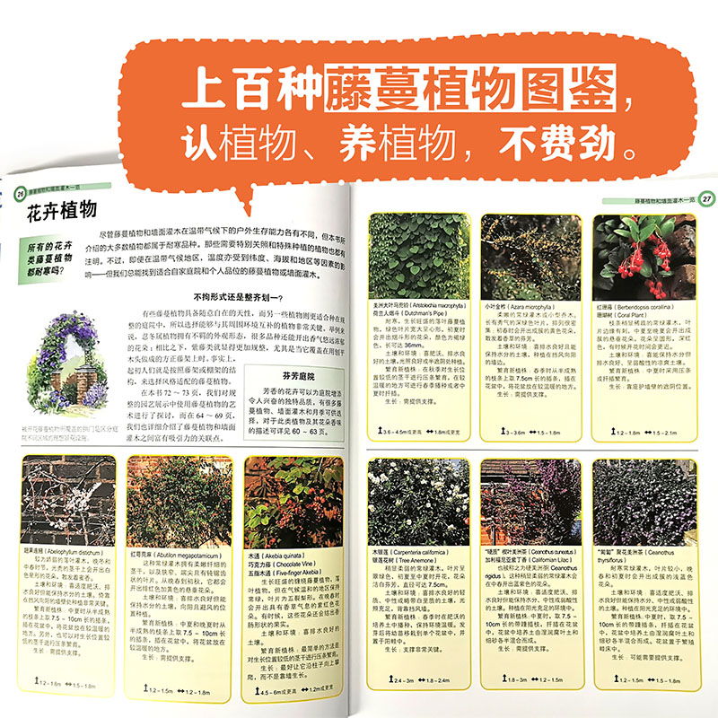 全球庭院:空間設計鑑賞+垂直花園:庭院藤蔓植物選擇與造景(全兩冊) 全球庭院:空間設計鑑賞+垂直花園:庭院藤蔓植物選擇與造景(全兩冊)