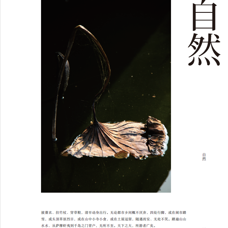 1659420875308033.png 详情-08.png