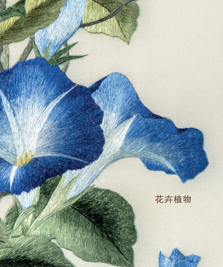 1660381922978542.jpg 详情2.jpg