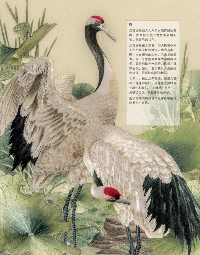 1660382674277336.jpg 详情16.jpg