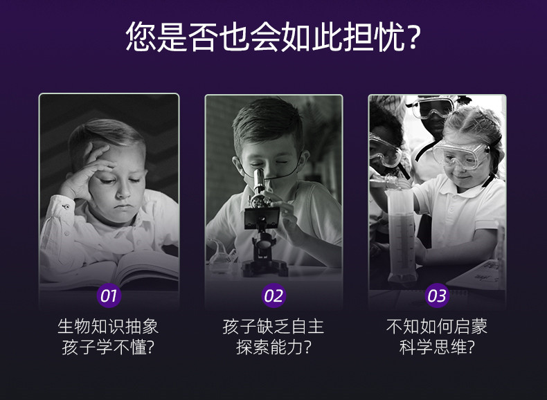 1661329708362357.jpg 详情-02.jpg