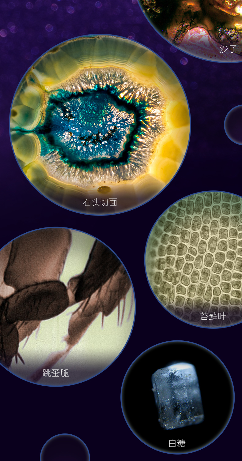 1661329753156594.jpg 详情-09.jpg