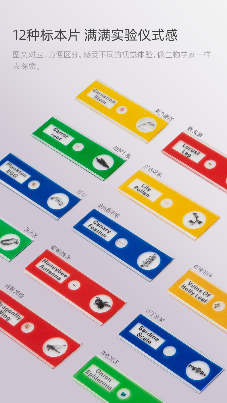 1661329845741612.jpg 详情-22.jpg