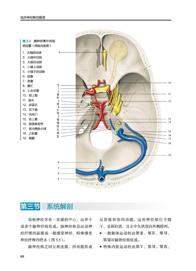 1661752635237504.jpg 主图-10.jpg