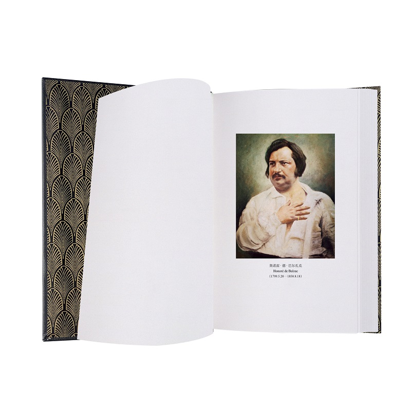 譯文:幻滅(插圖珍藏本) 譯文:幻滅(插圖珍藏本)