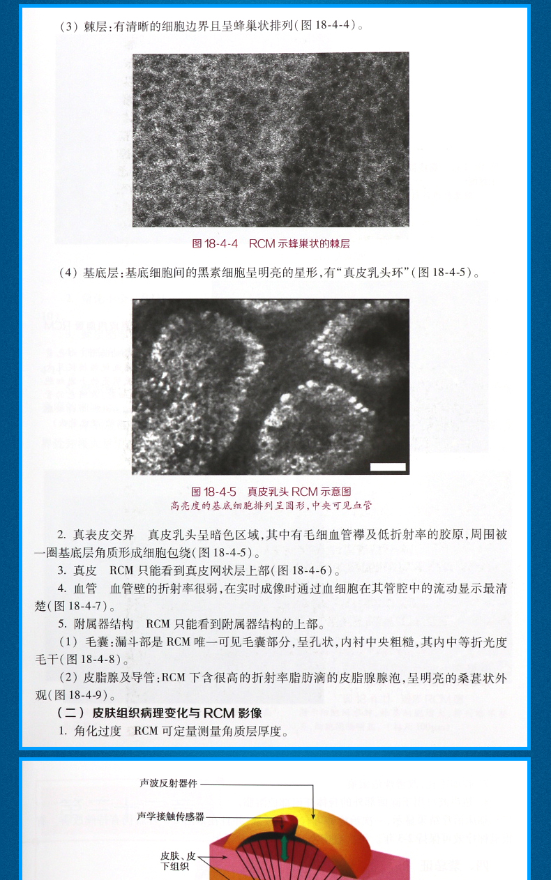 1662117551224208.jpg 详情-07.jpg