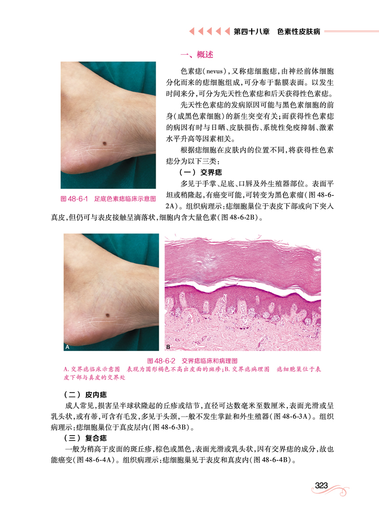 1662118538159342.jpg 详情-15.jpg