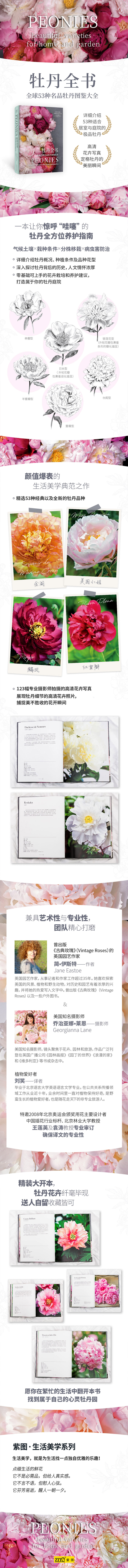 牡丹详情1.jpg