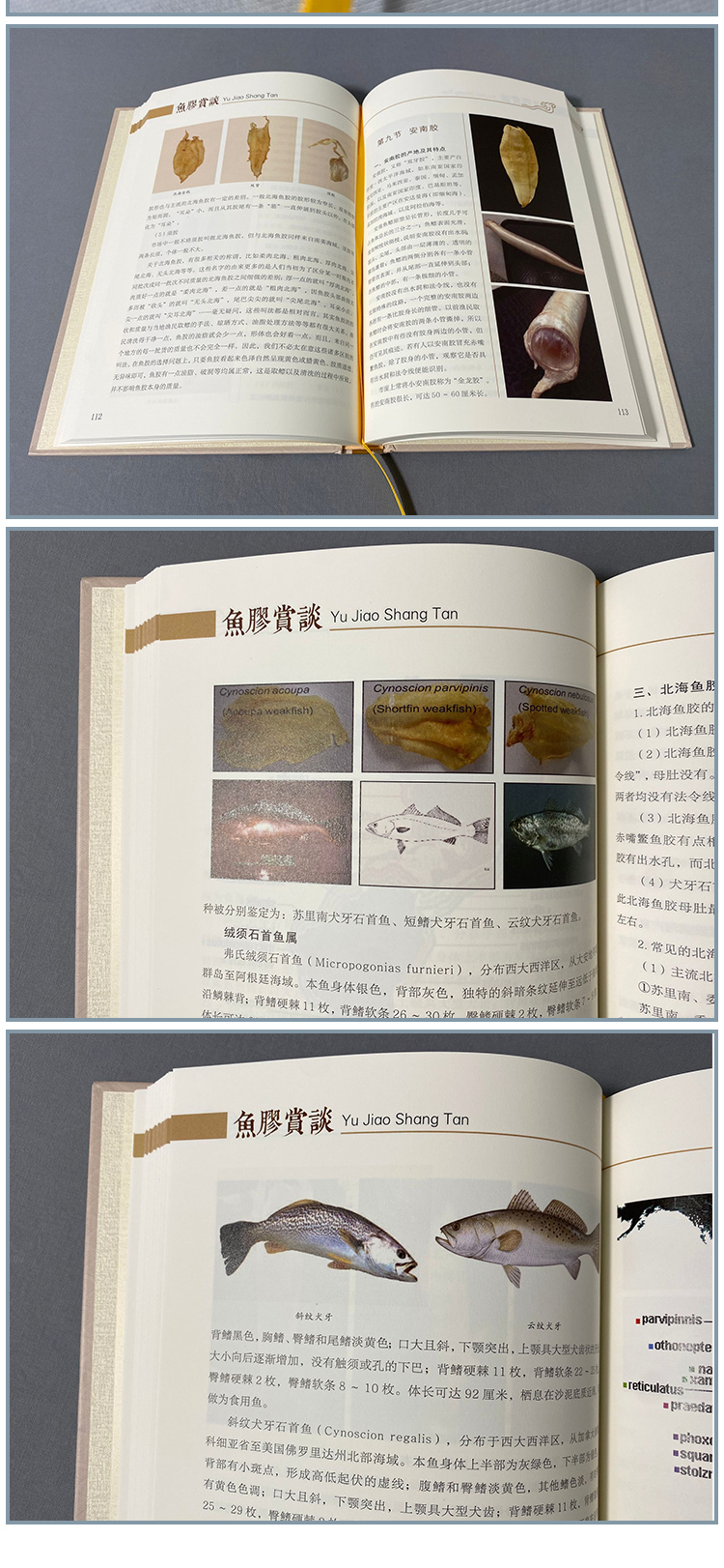 1664249582291000.jpg 179260286129365.jpg