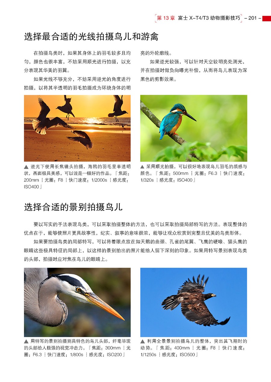 1664335892415310.jpg 1664335892415310.jpg