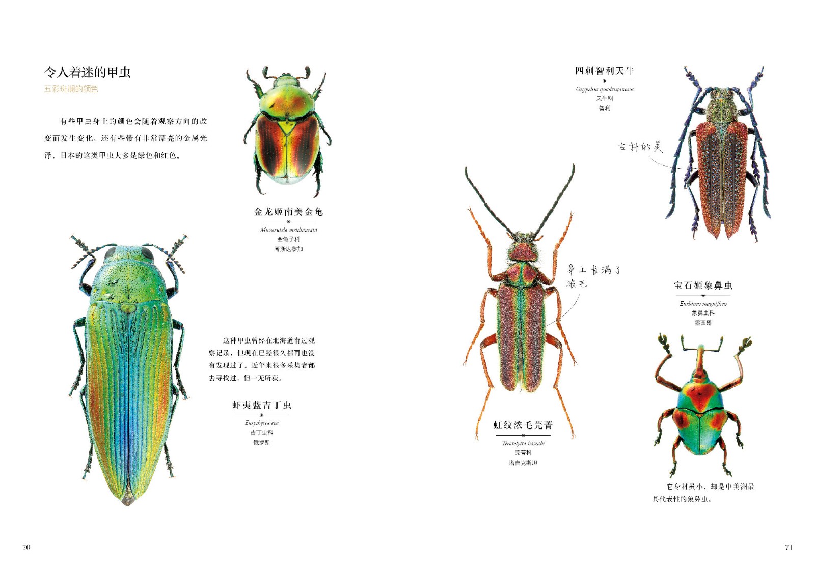 1664360490341818.jpg 1664360490341818.jpg