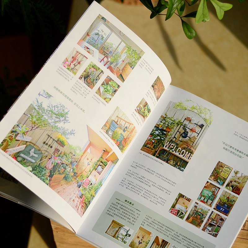 空中花園+動手打造陽台花園+打造你的室內花園（全三冊）