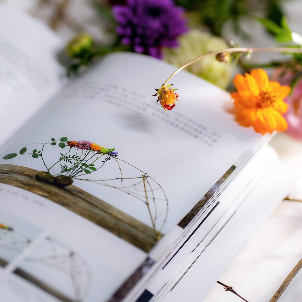 1666172531120699.jpg 1666172531120699.jpg