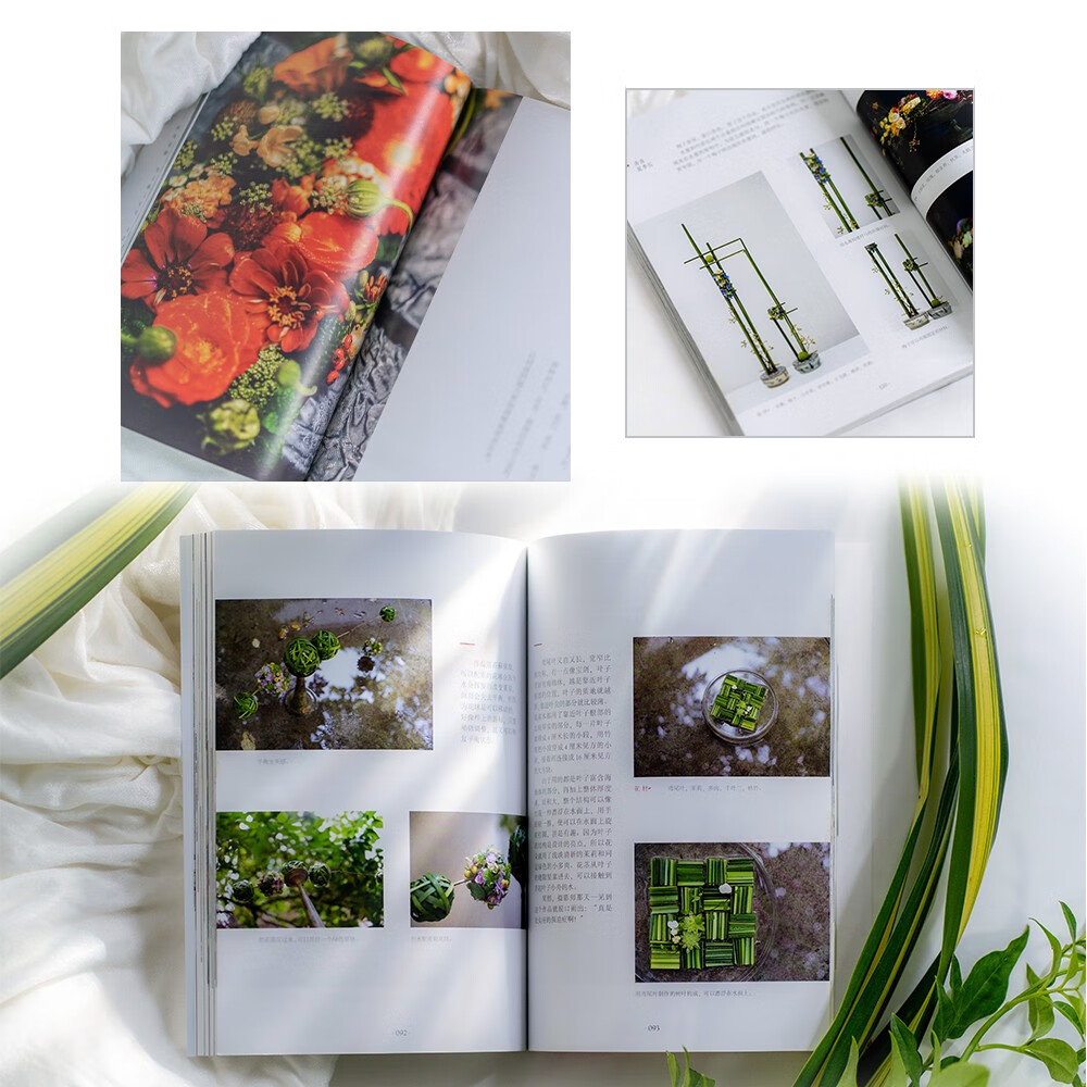 1666172531869947.jpg 1666172531869947.jpg