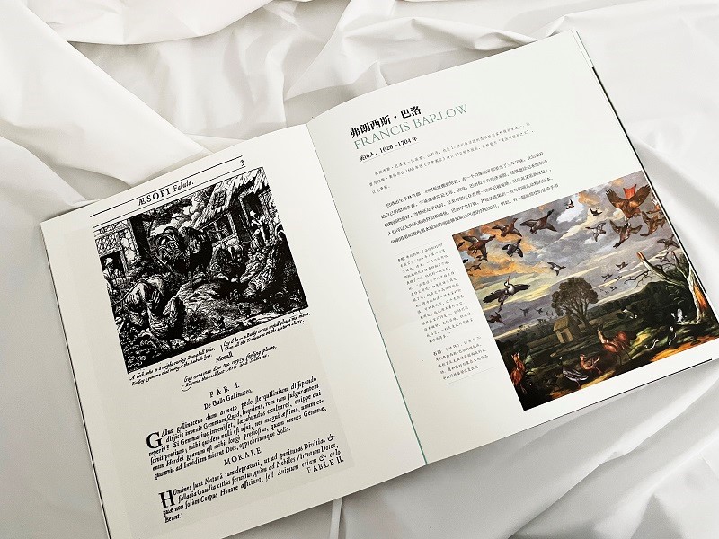 【鳥類博物志】（全彩塑封）