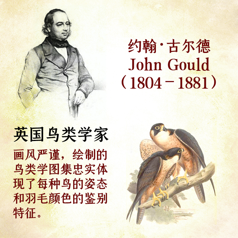 【亞洲鳥類圖鑒】（精裝版）