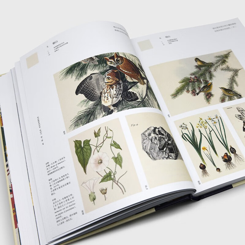 《大自然的調色盤》：解碼110種顏色的起源與命名 [Nature’s Palette : a colour reference system from]