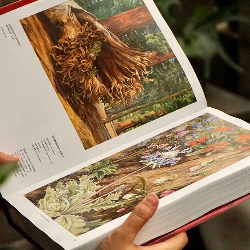 限時優惠:英國皇家植物園邱園官方授權【花朵與探險:瑪麗安娜·諾斯的藝術世界 】重達2.36公斤 限時優惠:英國皇家植物園邱園官方授權【花朵與探險:瑪麗安娜·諾斯的藝術世界 】重達2.36公斤