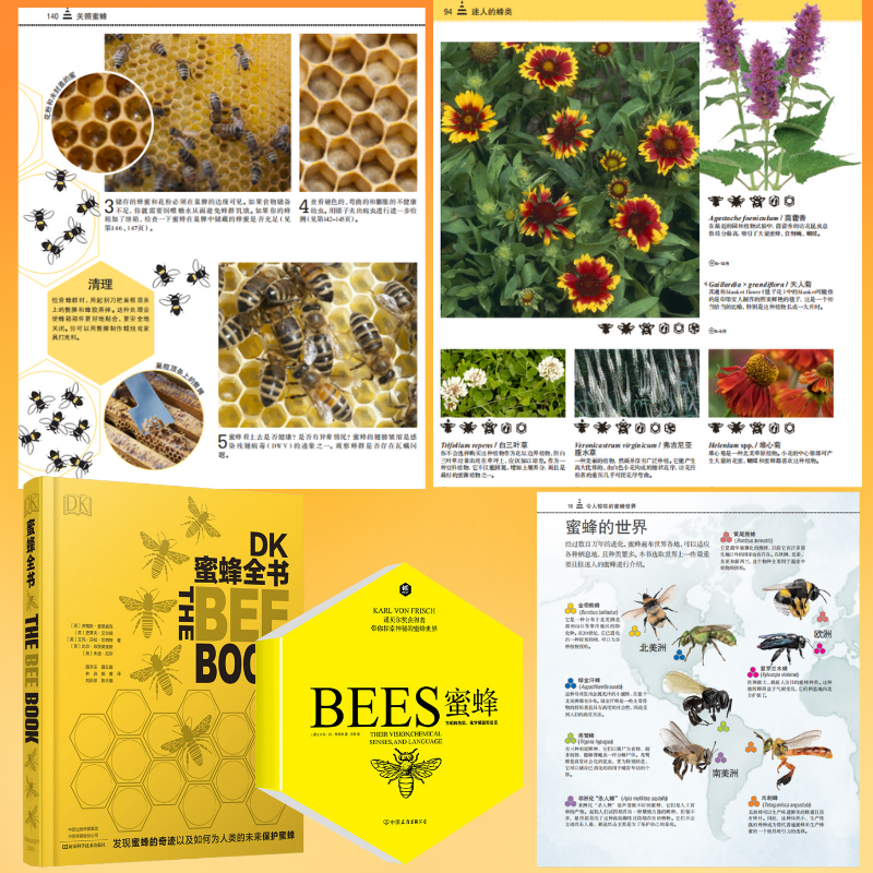 【蜜蜂全書】+【蜜蜂:諾貝爾獲獎者弗裏希科普代表作】+【養蜂科技全圖解】+【蜜蜂養殖實用技術】(年後發貨)