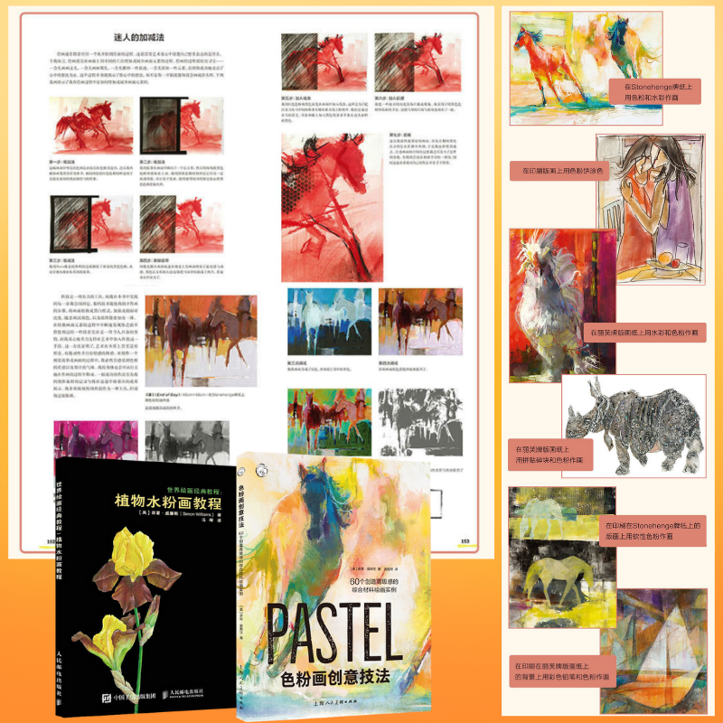 色粉畫創意技法：【創造高級感的綜合資料繪畫】+【植物水粉畫教程】