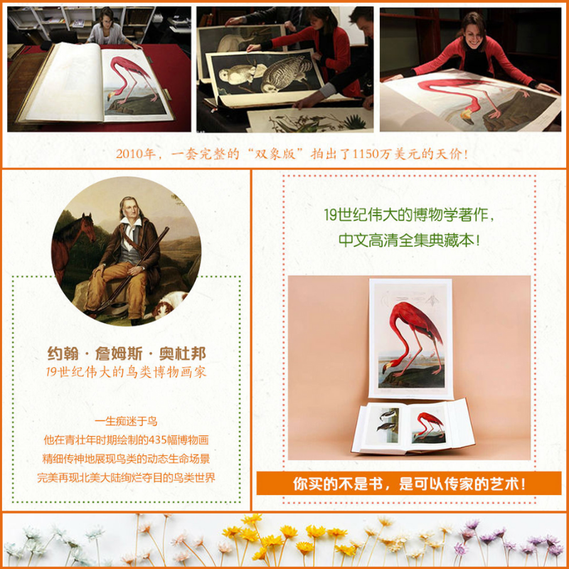 【奧杜邦手繪鳥類高清大圖全集】（典藏版）