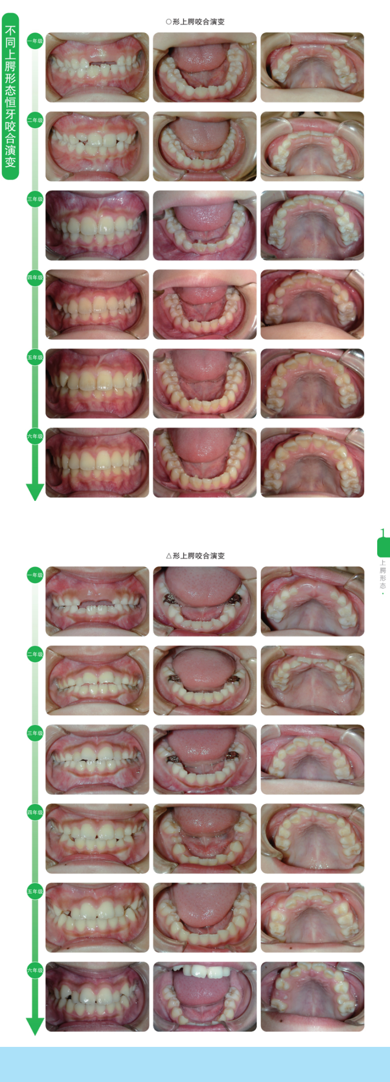 1680938399623602.jpg 详情2.jpg