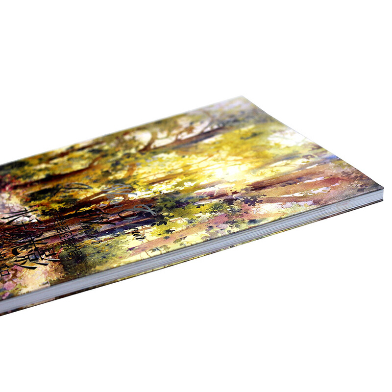 世界繪畫經典教程:讓畫作極具視覺衝擊力的秘技+水彩光影魔法教程(全兩冊) 世界繪畫經典教程:讓畫作極具視覺衝擊力的秘技+水彩光影魔法教程(全兩冊)