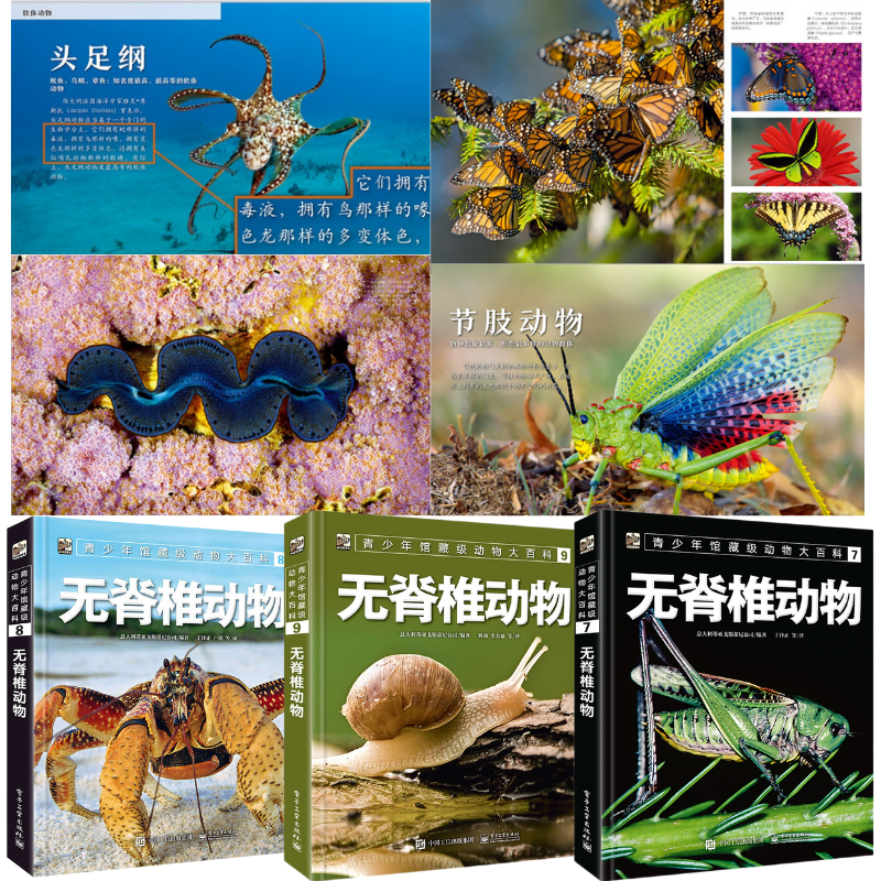 館藏級:【無脊椎動物】