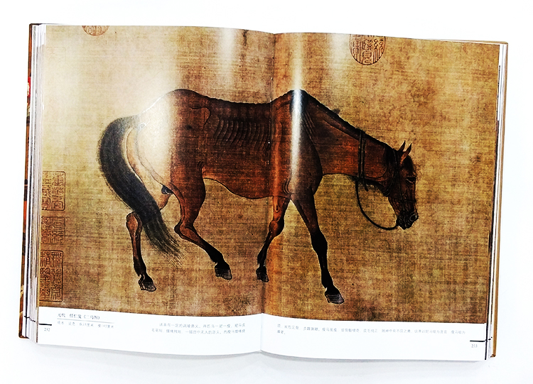 1686924486381240.jpg 实拍7.jpg